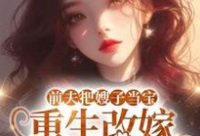 (全文)前夫把嫂子当宝,重生改嫁不原谅免费小说全本,夏晚晴试读更新章节-看书城