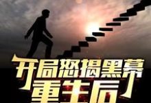 开局怒揭黑幕，重生后整顿官场陈知行完结小说推荐开局怒揭黑幕，重生后整顿官场全本书籍阅读-看书城