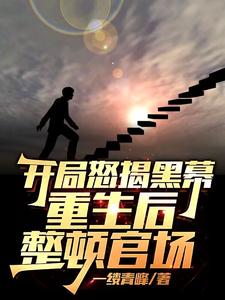 开局怒揭黑幕，重生后整顿官场陈知行热门小说排行榜开局怒揭黑幕，重生后整顿官场免费小说