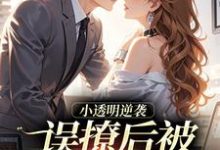 (全文)小透明逆袭完结小说推荐许惟昭方肃礼全本书籍阅读-看书城