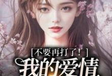 (全文)不要再打了！我的爱情我自己选（裴撤苏暖）试读更新章节不要再打了！我的爱情我自己选免费小说-看书城