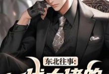(全文)东北往事：一代大佬的成功之路（王晨马三）全本书籍阅读东北往事：一代大佬的成功之路免费小说全本-看书城