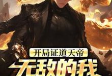 开局证道天帝，无敌的我在地球乱杀完整版小说，开局证道天帝，无敌的我在地球乱杀叶凌天叶小雨试读更新章节-看书城