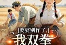 (全文)婆婆别作了,我双拳一出就是虐免费小说全本,夏晚晴赵宴京试读更新章节-看书城