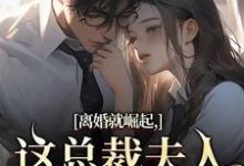 离婚就崛起，这总裁夫人她不做了推荐完结小说，离婚就崛起，这总裁夫人她不做了苏心瑶南羽陌免费小说全本-看书城