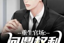 重生官场：问鼎权利之巅完整版小说重生官场：问鼎权利之巅(林峰刘艳茹)全章小说阅读-看书城