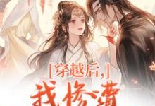 (全文)穿越后，我惨遭主角团抛弃(穆长安宋律)全本免费在线阅读-看书城