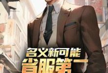名义新可能:省服第二能否逆转大局萧承李妙灵完结小说推荐名义新可能:省服第二能否逆转大局全本书籍阅读-看书城