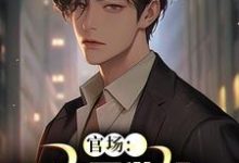 (全文)官场：底层做起，我就是无敌的！(李峰)全本免费在线阅读-看书城
