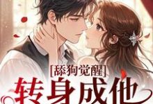 舔狗觉醒，转身成他高攀不起舒念沈晏宸热门小说排行榜舔狗觉醒，转身成他高攀不起免费小说-看书城