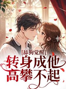 舔狗觉醒，转身成他高攀不起舒念沈晏宸热门小说排行榜舔狗觉醒，转身成他高攀不起免费小说