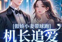 (全文)傲娇小妻带球跑，机长追爱不停歇(顾予琛徐歆薇)全本免费在线阅读-看书城