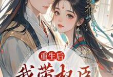 重生后，我带权臣杀入前夫府内沈月昭陆明渊完结小说推荐重生后，我带权臣杀入前夫府内全本书籍阅读-看书城