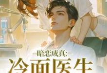 暗恋成真：冷面医生不好追完整版小说暗恋成真：冷面医生不好追(宁雨莟顾懿渊)全章小说阅读-看书城