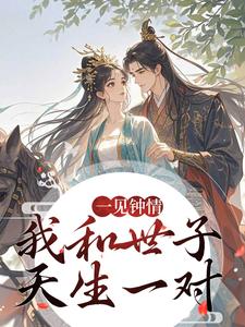 一见钟情，我和世子天生一对（沈如风苏云锦）全本书籍阅读一见钟情，我和世子天生一对完整版小说