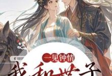 一见钟情，我和世子天生一对沈如风苏云锦最新完结小说，一见钟情，我和世子天生一对全本免费在线阅读-看书城