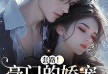 套路！豪门的娇宠千金撩夫了（颜亦辰梵晞悦）全章小说阅读-看书城