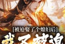 被迫娶了个媳妇后，我又被迫上战场最新完结小说被迫娶了个媳妇后，我又被迫上战场凌晨青柠免费小说-看书城