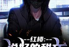 (全文)红楼:说好的甜文咋变恐怖文了完结小说推荐齐洛全本书籍阅读-看书城