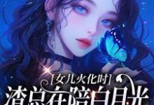 安安傅庭渊女儿火化时,渣总在陪白月光女儿过生日全本免费在线阅读-看书城