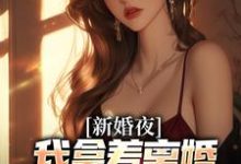 新婚夜，我拿着离婚协议黯然离场完整版小说，新婚夜，我拿着离婚协议黯然离场叶修远白若雪全章小说阅读-看书城