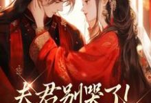 (全文)夫君别哭了！我来替你虐渣沈婉宁韩云泽小说推荐，夫君别哭了！我来替你虐渣全章小说阅读-看书城