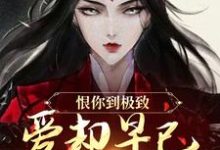 苏婉江忱序恨你到极致,爱却早已深入骨髓全本免费在线阅读-看书城