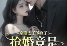 (全文)京圈太子爷疯了!抢婚竟是蓄谋已久陆妄辞虞晚颜小说推荐,京圈太子爷疯了!抢婚竟是蓄谋已久全章小说阅读-看书城