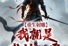 重生射雕：我就是武林一霸完整版小说，重生射雕：我就是武林一霸段星炎黄蓉试读更新章节-看书城
