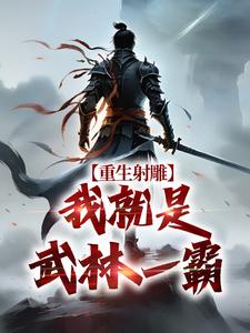 (全文)重生射雕：我就是武林一霸段星炎黄蓉最新完结小说重生射雕：我就是武林一霸免费阅读