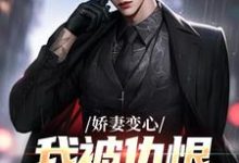 (全文)娇妻变心，我被仇恨占据了全身(路无铭墨凉馨)全本免费在线阅读-看书城