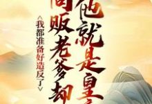 我都准备好造反了，商贩老爹却说他就是皇帝？（嬴政赵牧）全本书籍阅读我都准备好造反了，商贩老爹却说他就是皇帝？完整版小说-看书城
