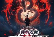 我刚无敌，你就要跟我退婚？完整版小说，我刚无敌，你就要跟我退婚？苏阳试读更新章节-看书城