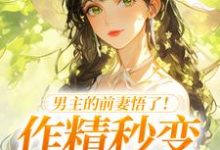 许岁宁霍青山男主的前妻悟了！作精秒变粘人精全本免费在线阅读-看书城