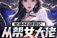 官场小白逆袭记：从帮女大佬开始热门小说排行榜官场小白逆袭记：从帮女大佬开始唐诚李文静免费小说全本-看书城