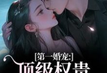第一婚宠：顶级权贵追妻火葬场热门小说排行榜第一婚宠：顶级权贵追妻火葬场叶惊兰薄戎淮免费小说全本-看书城