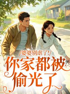 (全文)婆婆别虐了！你家都被偷光了免费小说全本，苏圆圆陆正安试读更新章节
