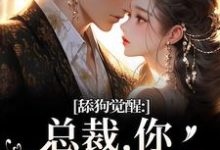 (全文)舔狗觉醒:总裁,你只是个替身(许瑾禾裴景之)全本免费在线阅读-看书城