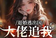 (全文)退婚逃出国，大佬追我满世界跑江野崎楚灵兮全本免费在线阅读-看书城