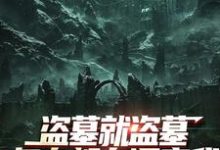 盗墓就盗墓,怎么都在调查我(吴邪白小白)全本书籍阅读盗墓就盗墓,怎么都在调查我完整版小说-看书城