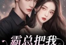 霸总把我当替身后，他真的后悔了白筱帆盛延试读更新章节霸总把我当替身后，他真的后悔了白筱帆盛延免费小说-看书城