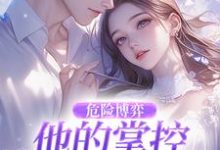 (全文)危险博弈:他的掌控与她的反杀完结小说推荐叶时欢全本书籍阅读-看书城