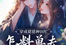 (全文)穿成猪猪种田忙，怎料兽夫太黏猪(穆九溪)全本免费在线阅读-看书城