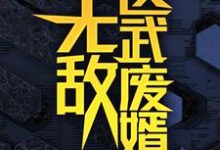 无敌医武废婿秦铭免费小说无敌医武废婿推荐完结小说-看书城