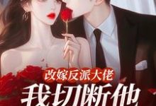 改嫁反派大佬，我切断他黑化根源！江知微萧著最新完结小说，改嫁反派大佬，我切断他黑化根源！全本免费在线阅读-看书城