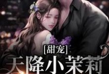 (全文)甜宠：天降小茉莉住进了我家（沈津南林听）试读更新章节甜宠：天降小茉莉住进了我家免费小说-看书城