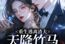 姜矜贺祈年重生逃离渣夫，天降竹马太会钓全本免费在线阅读-看书城