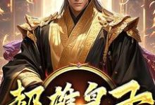 超雄皇子萧凡完结小说推荐超雄皇子全本书籍阅读-看书城