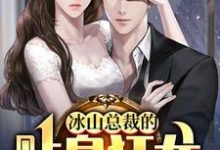 冰山总裁的贴身狂龙（沈念）全章小说阅读-看书城