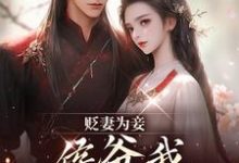 贬妻为妾,侯爷我不伺候啦推荐完结小说贬妻为妾,侯爷我不伺候啦(慎如余启)免费小说全本-看书城